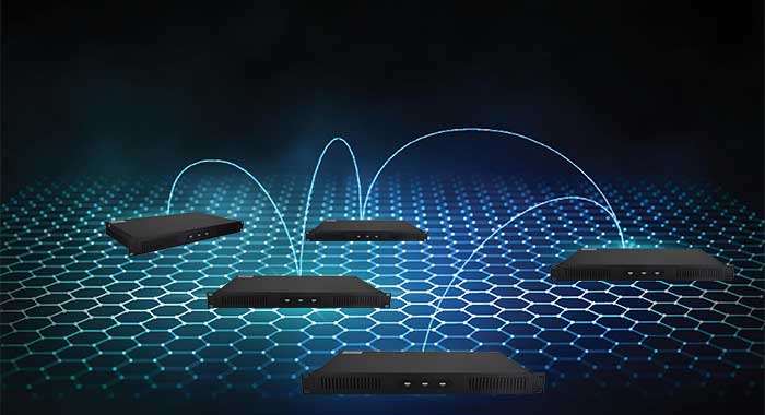 优德88官网网站