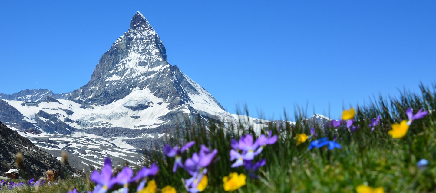 优德88官网网站